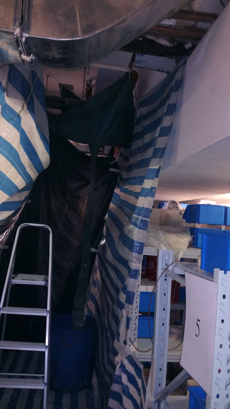 DrainCleaning_ProjectB-05-Before-pic05_Full.jpg